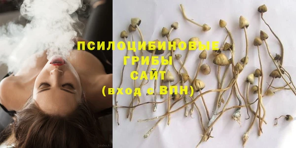 шишки Пролетарск