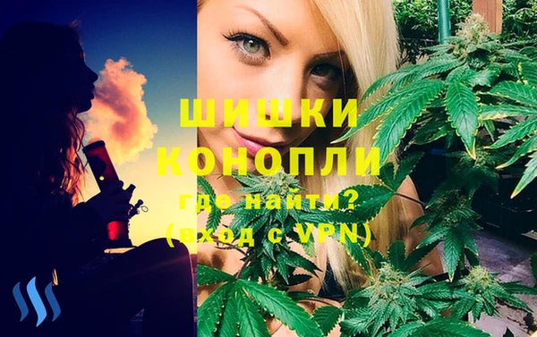 шишки Пролетарск