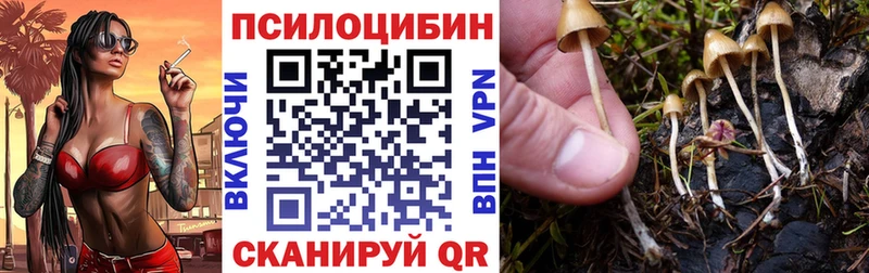 Псилоцибиновые грибы прущие грибы  цена наркотик  Слободской 